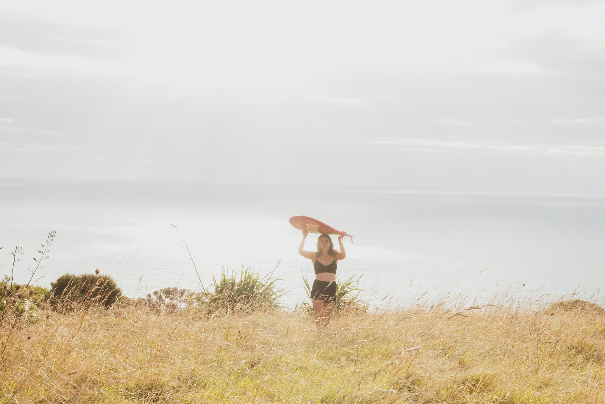 Summer in New Zealand