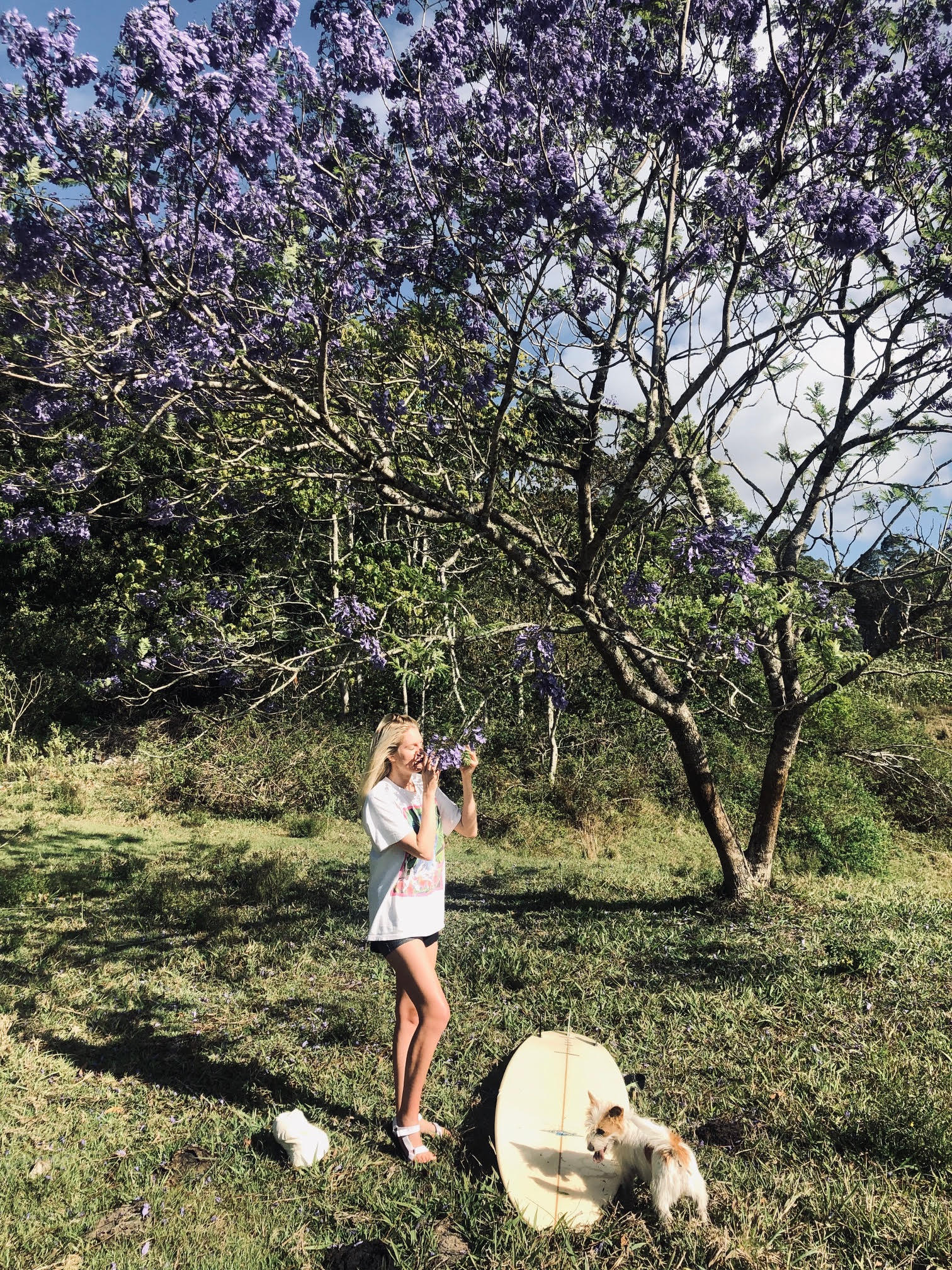 FRIDAY TUNES WITH SU