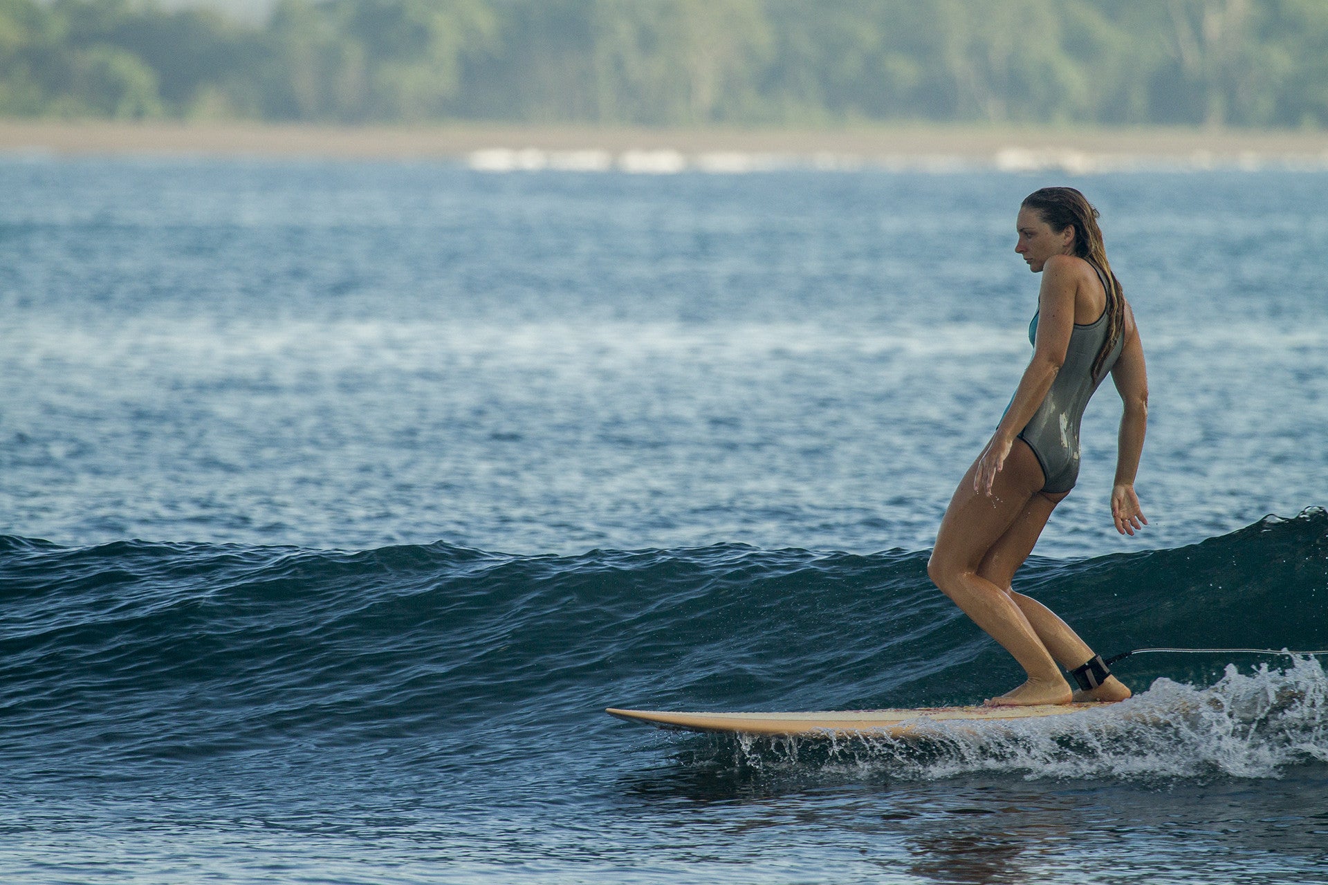 Java ‘The Jungle Book’