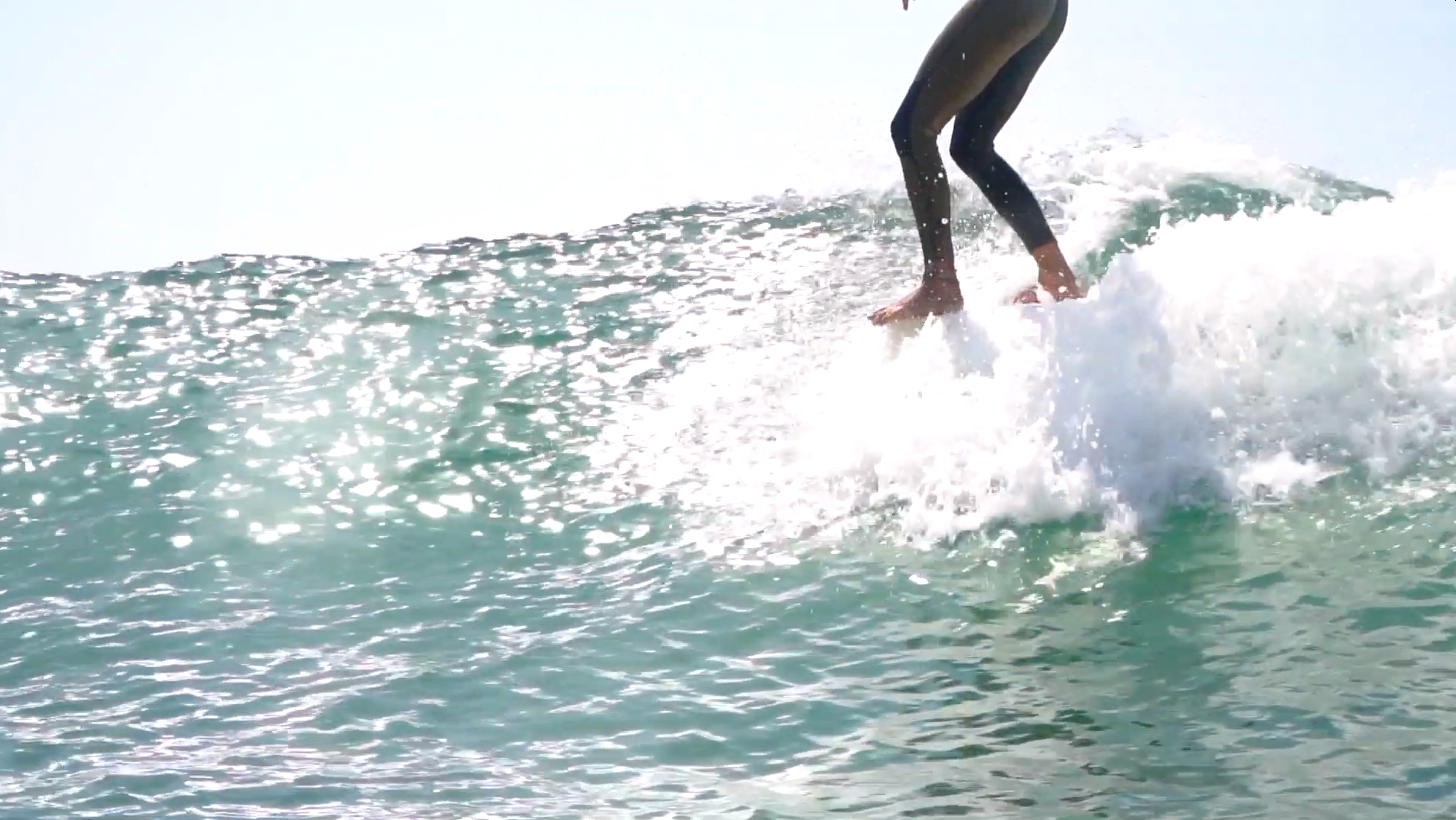 Shred times with Shelly!