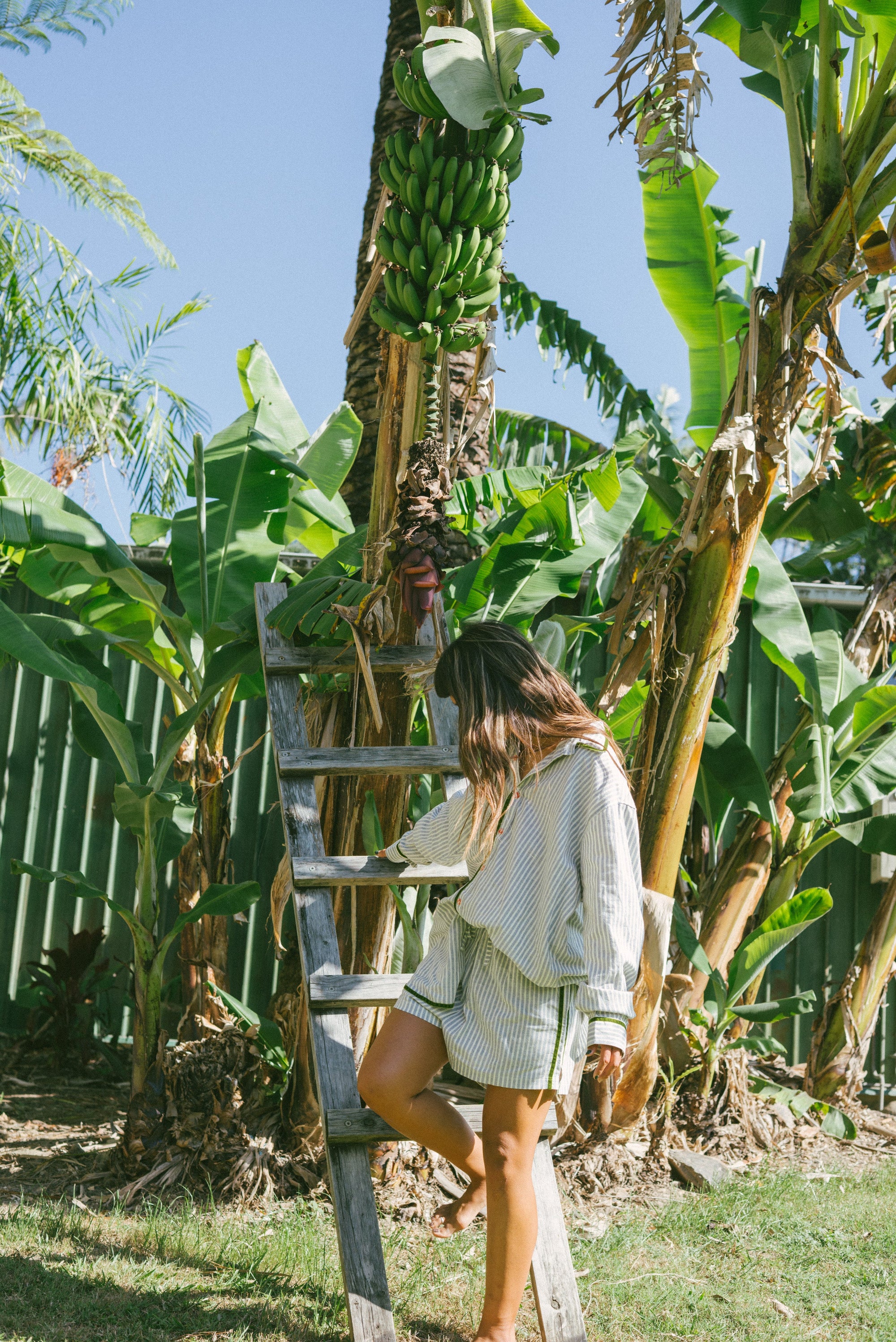 Atmosea Short in Green Stripe Velvet - Atmosea