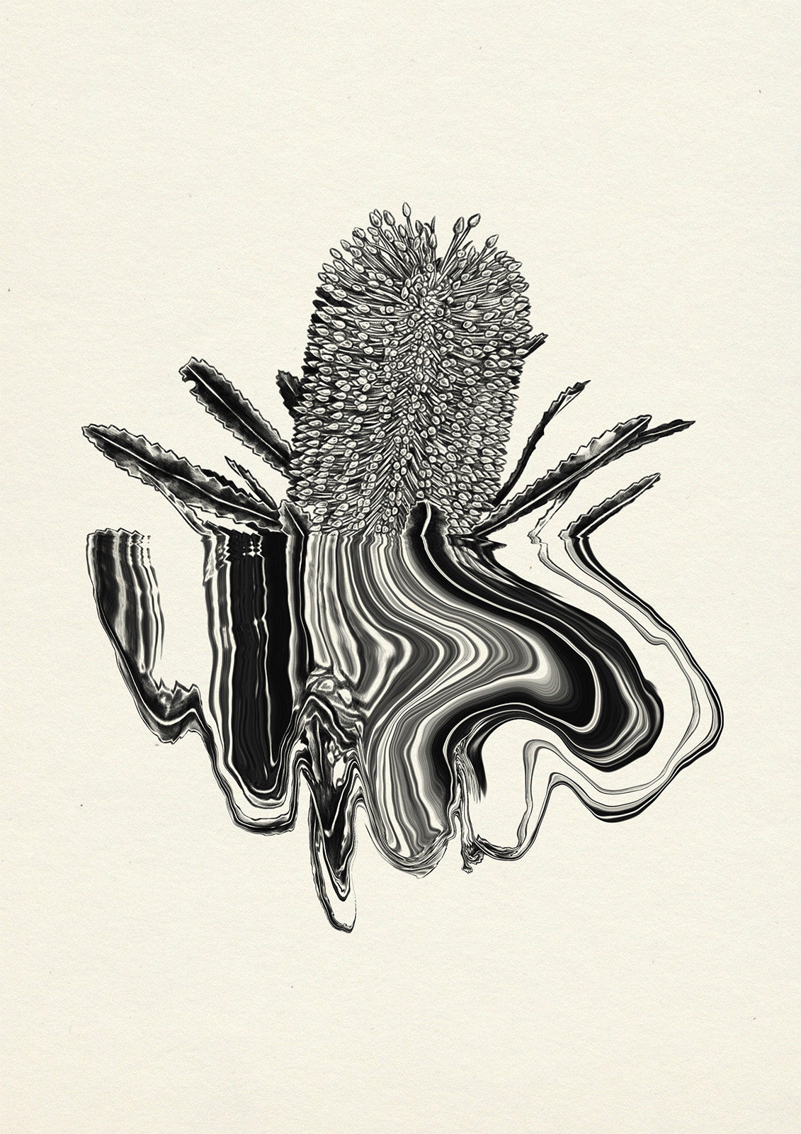 Banksia - A3 by Yaz Ward - Yaz Ward