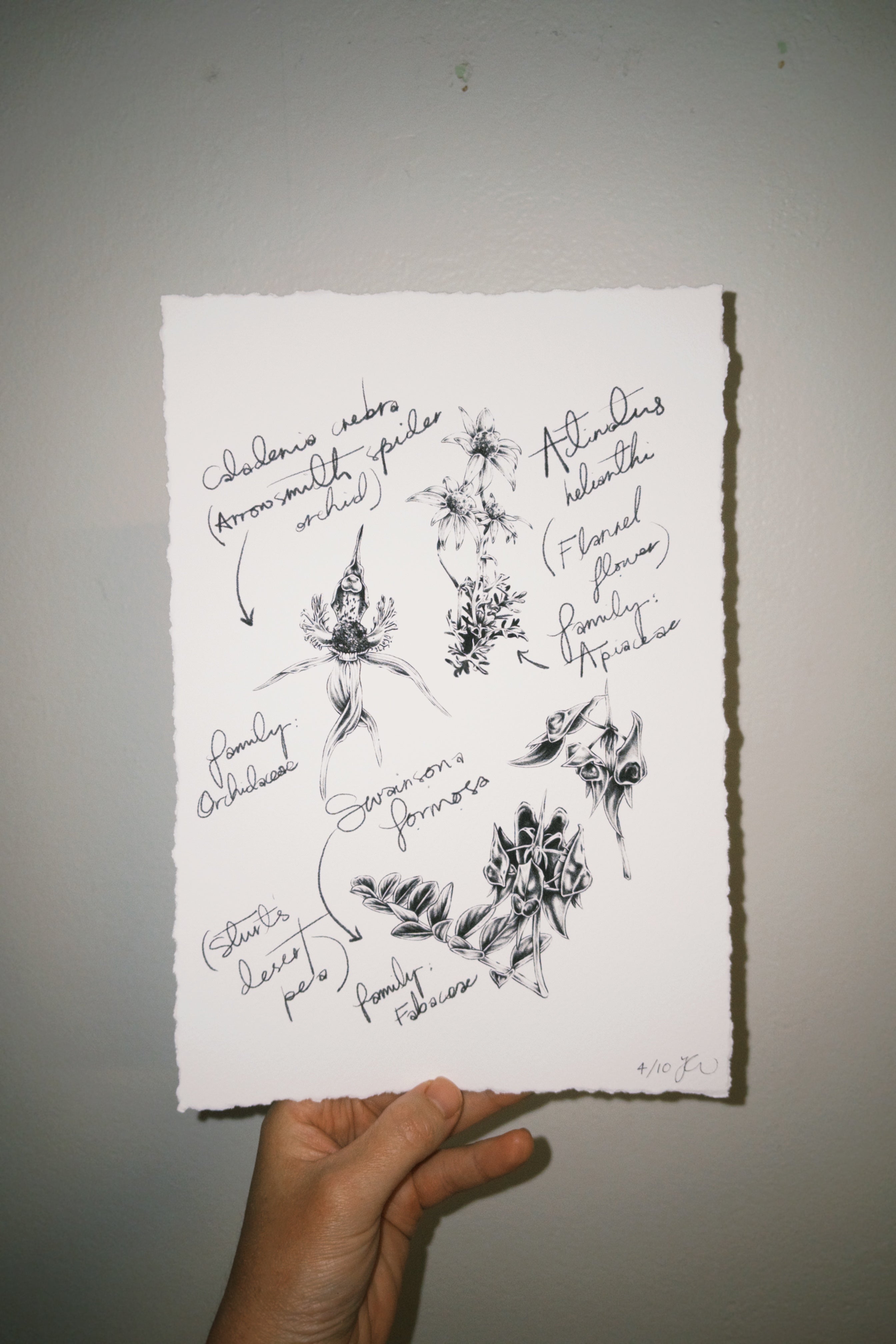 Flora Print  A4 by Yaz Ward - Yaz Ward