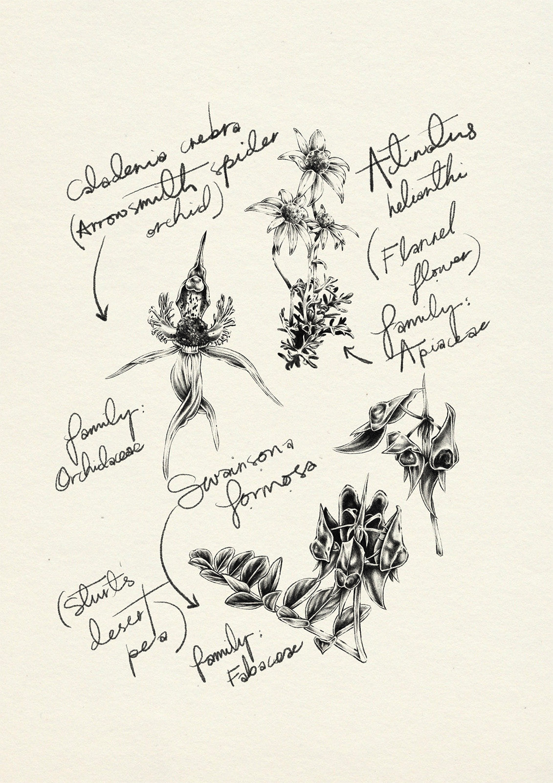 Flora Print  A4 by Yaz Ward - Yaz Ward