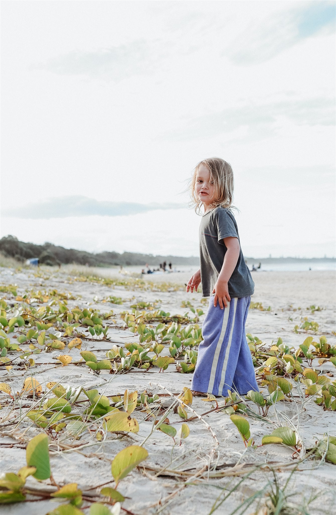 Mini Terry Pant in Lavender - Atmosea